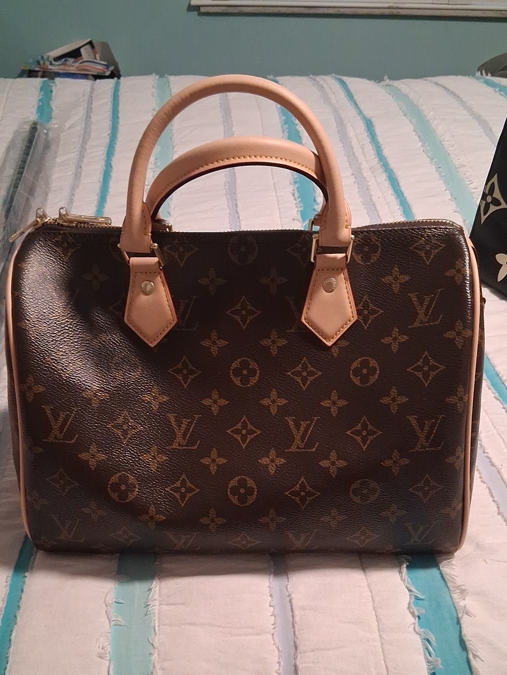 Source Unknown Purse , Firm Price. ( Brown & Tan )